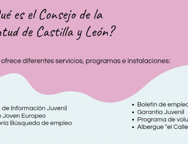 Personas atendidas en el Programa FENDE de Castilla y León participan en un taller sobre el Sistema Nacional de Garantía Juvenil y el Consejo de la Juventud