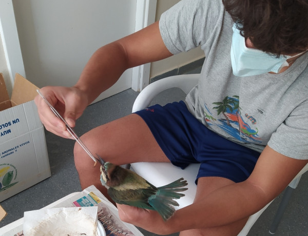 Las personas jóvenes atendidas en el centro ‘Las Lagunillas’ de Jaén participan en una nueva edición del Programa Medioambiental ‘Naturae’