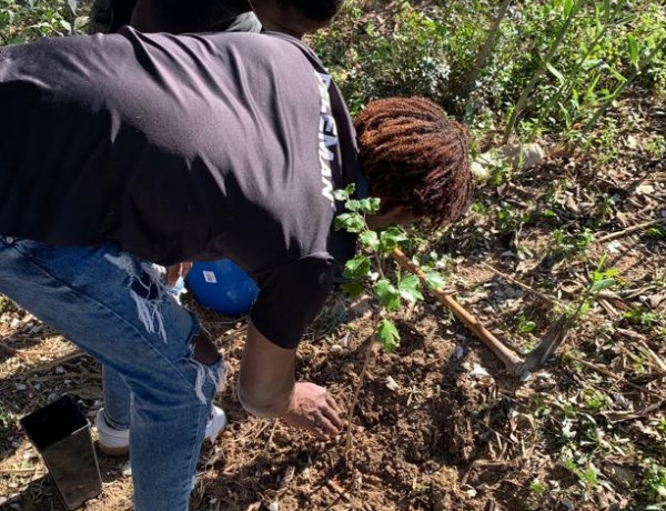 Las personas jóvenes atendidas en la residencia 'Ausiàs March' de Xàtiva (Valencia) colaboran en la reforestación del Parque Fluvial del Túria