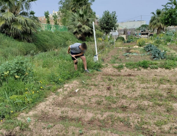 Las personas jóvenes atendidas en la Residencia ‘Mariano Ribera’ de Burjassot (Valencia) participan en la creación de un huerto ecológico. Fundación Diagrama. Comunidad Valenciana 2022
