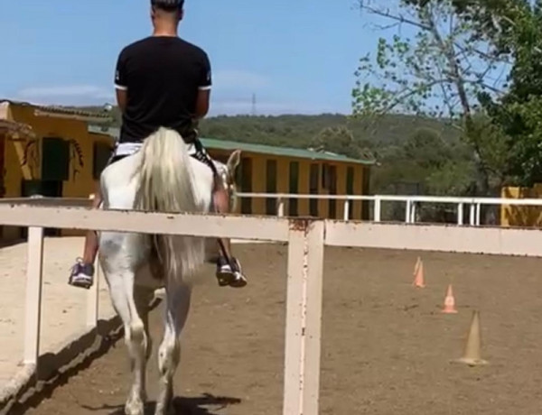 Las personas jóvenes del piso 'El Xarel·lo' de Vilafranca del Penedès (Barcelona) participan en un taller con animales en el Centro de Hípica Can Joan