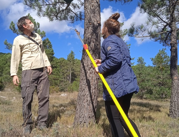 Las personas jóvenes de la Residencia ‘La Pobla’ de La Pobla de Vallbona (Valencia) disfrutan de una jornada medioambiental en el Parque Natural de Penyagolosa