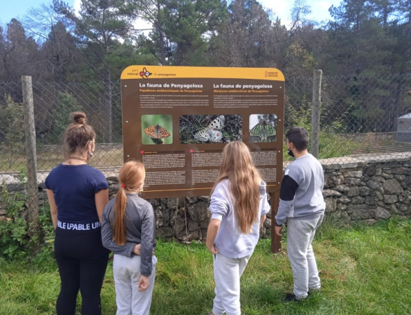 Las personas jóvenes de la Residencia 'Sant Sebastià' de Vinaròs llevan a cabo una actividad medioambiental en el Parque Natural Sant Joan de Penyagolosa