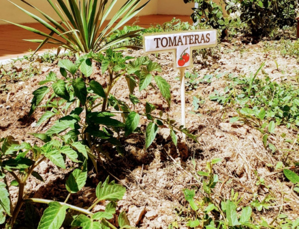 Las personas mayores atendidas en la residencia ‘María de la Paz’ de Nerva (Huelva) colaboran en la creación de un huerto ecológico