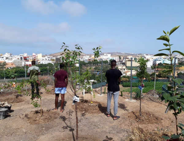Las personas menores atendidas en el centro ‘Cardones’ de Las Palmas de Gran Canaria refuerzan su educación medioambiental con la plantación de varios árboles