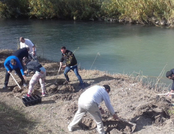 Personas atendidas en la residencia ‘Altavida’ de Abanilla colaboran en una actividad de reforestación en Cieza. Fundación Diagrama. Murcia 2018.