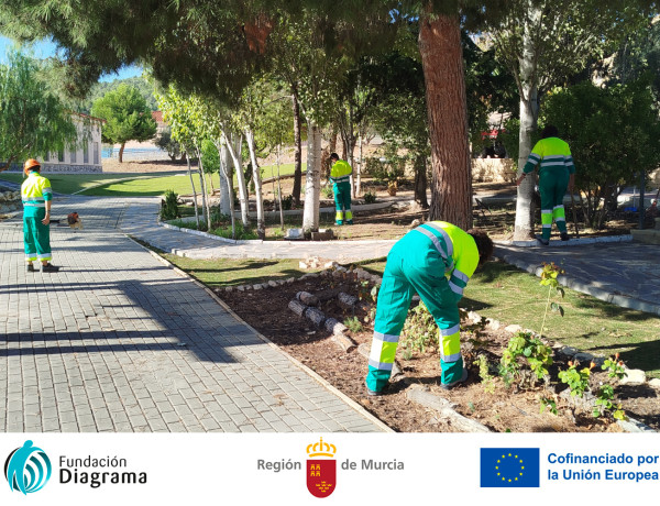 Programa Formativo Profesional de Actividades Auxiliares en Viveros y Jardines 