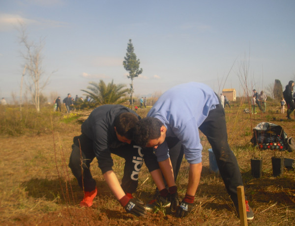 Actividad Burriana. Centro 'Pi i Margall' de Burjassot. Fundación Diagrama.