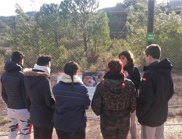 Los menores atendidos en ‘Els Reiets’ de Alicante visitan el centro de recuperación de animales exóticos AAP Primadomus