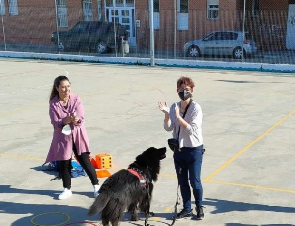 Profesionales del Programa FENDE de Castilla y León realizan una actividad sobre terapia canina en el colegio Lola Herrera. Fundación Diagrama. Castilla y León 2022.