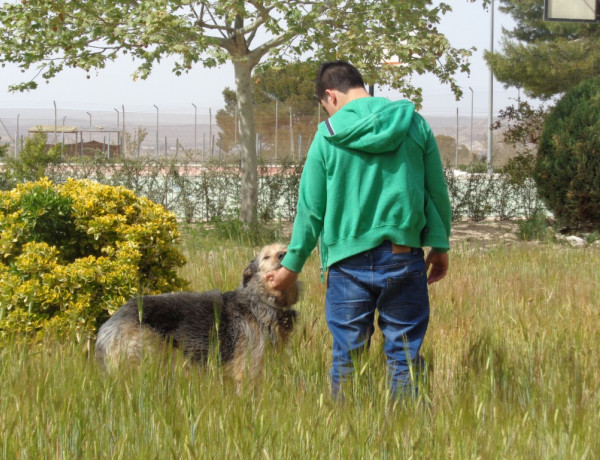Los menores del centro ‘La Villa’ de Villena realizan un voluntariado en la Sociedad Protectora de Animales y Plantas de la localidad