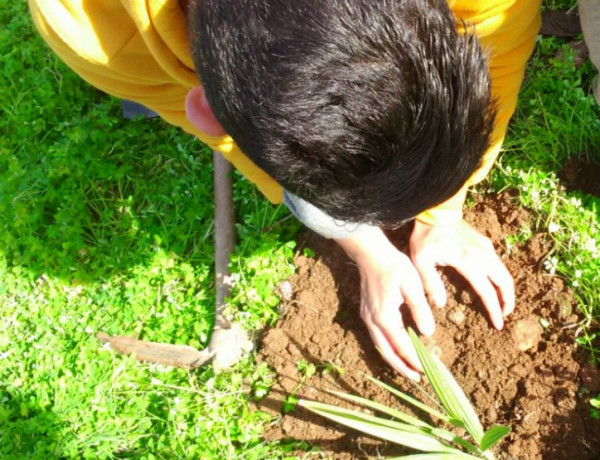 Actividad de reforestación. Menores de 'Ciudad de Melilla'.Fundación Diagrama.