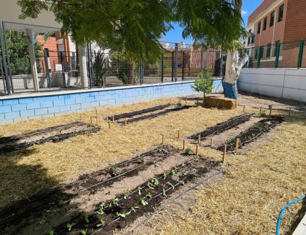La residencia ‘Lucentum’ de Alicante impulsa la creación de un huerto ecológico entre los jóvenes atendidos. Fundación Diagrama. Comunidad Valenciana 2020. 