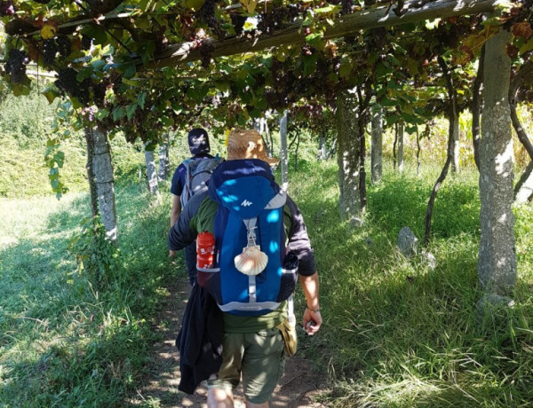 Camino de Santiago. Menores de 'La Jara' de  Alcalá de Guadaíra (Sevilla). Fundación Diagrama 2017.