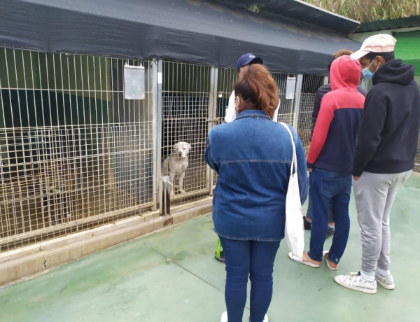 La Sociedad Protectora de Animales de Mataró abre sus puertas a los jóvenes atendidos en el SPAAI ‘Llavaneres’ de Barcelona