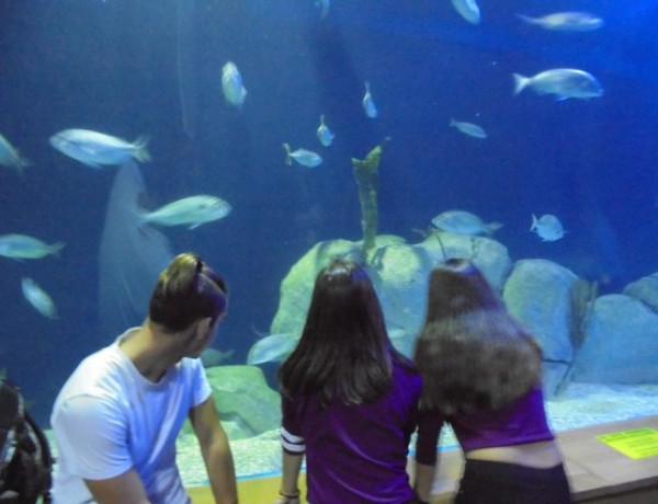 Los jóvenes atendidos en el centro ‘La Pobla’ de La Pobla de Vallbona visitan el Oceanográfico de Valencia. Fundación Diagrama 2017