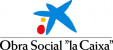 Obra Social 'La Caixa'