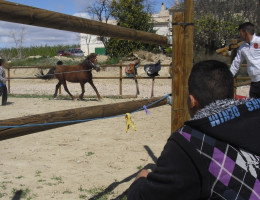 Los menores del centro ‘La Zarza’ de Abanilla (Murcia) participan en una actividad de zooterapia con caballos