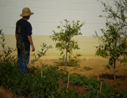 Comienza la formación en jardinería de la Casa de Oficios del centro ‘Los Alcores’ de Carmona (Sevilla)