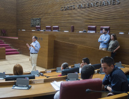 Los menores del centro 'Pi Gros' visitan las Corts Valencianes. Fundación Diagrama.