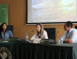 Fundación Diagrama organiza en Valencia una jornada sobre salud mental en la intervención con colectivos vulnerables