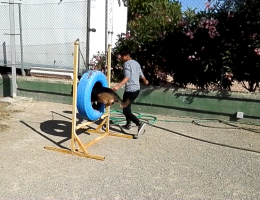 Actividad con Asociación Vinculando Vidas. Terapia Asistida Perros 2017. Centro 'Los Pinos'. Fundación Diagrama. 