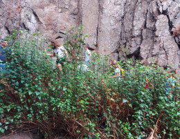 Barranco de los Cernícalos