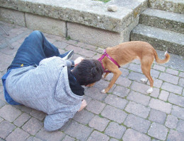 Los jóvenes atendidos en el centro ‘Montefiz’ de Ourense completan el Programa de Terapia Asistida con Animales. Fundación Diagrama 2018. 