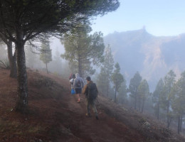 Un grupo de personas jóvenes atendidas por Fundación Diagrama en Las Palmas de Gran Canaria completan dos etapas del Camino de los Valores