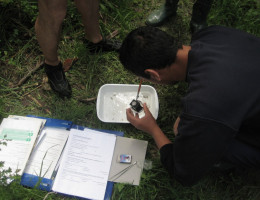 Menores del centro ‘San Miguel’ de Granada participan en una nueva actividad medioambiental del Programa Andarríos