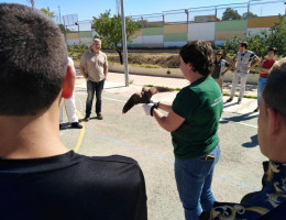 Los jóvenes atendidos en el centro ‘Las Lagunillas’ de Jaén realizan una serie de talleres sobre el mundo animal y el medio ambiente. Fundación Diagrama. Andalucía 2019. 