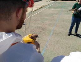 Los jóvenes atendidos en el centro ‘Las Lagunillas’ de Jaén realizan una serie de talleres sobre el mundo animal y el medio ambiente. Fundación Diagrama. Andalucía 2019. 