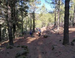 Jóvenes atendidos por Fundación Diagrama en Las Palmas recorren la penúltima etapa del Camino de los Valores-Caminando contra la COVID