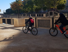 Los jóvenes del centro ‘Oriola’ de Orihuela (Alicante) realizan una ruta en bicicleta por la mota del río Segura. Fundación Diagrama. Comunidad Valenciana 2019