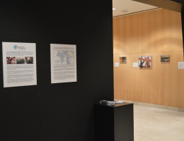 Exposición 'Fundación Diagrama en Senegal: Una década construyendo futuro'. Granada 2017.