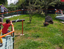 Los menores del Centro Integral de Atención del concejo de Grado (Asturias) participan en actividades lúdico-educativas dentro de la programación veraniega del recurso. Fundación Diagrama. Asturias 2019. 