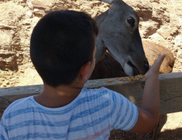 Los jóvenes del centro ‘Oriola’ de Orihuela (Alicante) realizan numerosas actividades en el parque Terra Natura de Murcia y en Riópar (Albacete). Fundación Diagrama. Comunidad Valenciana y Castilla-La Mancha 2018.