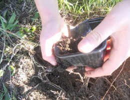 Los menores atendidos en el centro ‘Monteledo’ de Ourense llevan a cabo una actividad medioambiental con la asociación Amigos de la Tierra. Fundación Diagrama. Galicia 2019. 