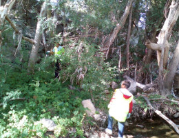 Menores atendidos en los pisos de acogimiento residencial de Logroño participan en una campaña de voluntariado medioambiental