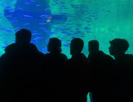 Jóvenes de Mariano Ribera, en el acuario