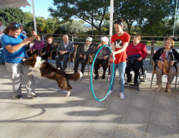 Las personas atendidas en la residencia ‘Nuevo Azahar’ de Archena (Murcia) celebran el Día Mundial de los Animales. Fundación Diagrama. Murcia 2019