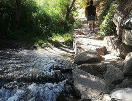 Los jóvenes del centro ‘San Miguel’ de Granada realizan dos rutas de senderismo en el Parque de Sierra Nevada. Andalucía. Fundación Diagrama 2018.
