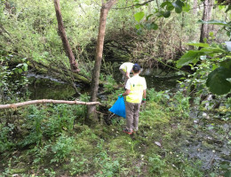 I Jornada de Voluntariado Ambiental. 'Montefiz' (Orense). Fundación Diagrama.