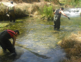 Pi i Margall seguimiento medio ambiente río Tuéjar