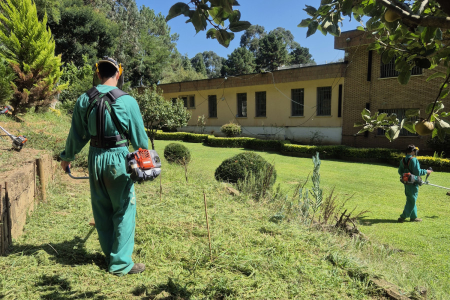 Dos jóvenes de la Residencia Parayas realizan prácticas del FPB de jardinería en el centro