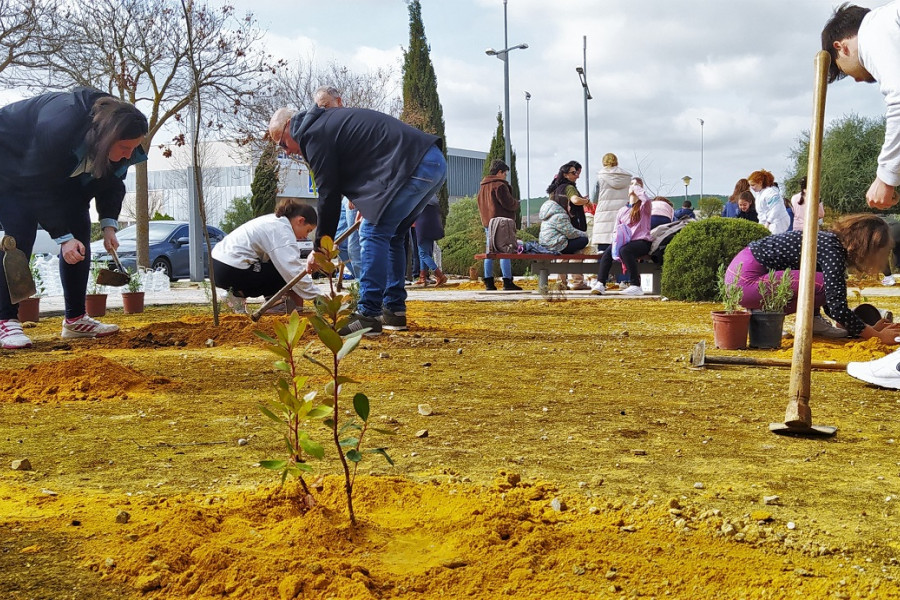 Un momento de la plantación de árboles y arbustos