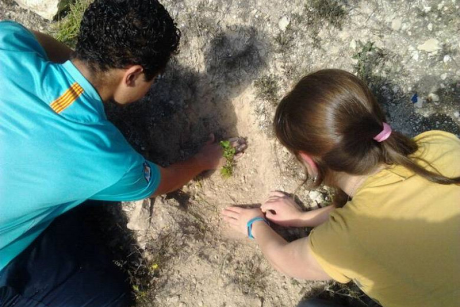 Los menores del Centro de Acogida ‘Lucentum’ de Alicante colaboran en la reforestación del Monte Tossal