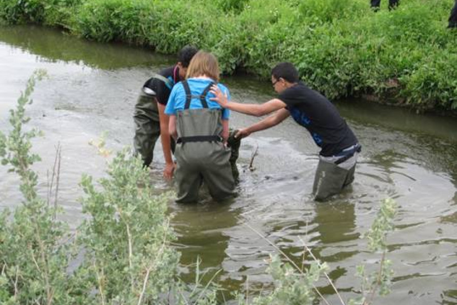 Niños y niñas de los centros 'Lucentum' y 'Llauradors' participan en unas jornadas de conservación del río Vinalopó