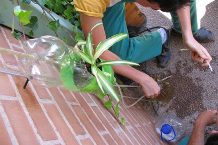 El Centro de Reeducación ‘Pi Gros’ desarrolla un proyecto de cultivo hidropónico en colaboración con la Universidad Jaume I de Castellón