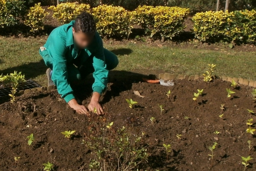 El Centro Socioeducativo Juvenil de Cantabria inicia un nuevo curso prelaboral de jardinería